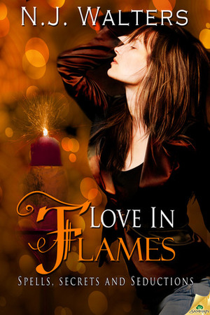 Love in Flames by N.J. Walters