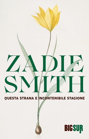 Questa strana e incontenibile stagione by Zadie Smith