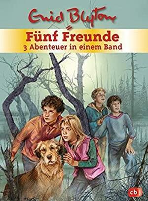 Fünf Freunde - 3 Abenteuer in einem Band: Sammelband 1: Fünf Freunde und das Teufelsmoor / Fünf Freunde im Gruselschloss / Fünf Freunde und der Hexenring by Enid Blyton