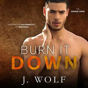 Burn it Down by Julia Wolf