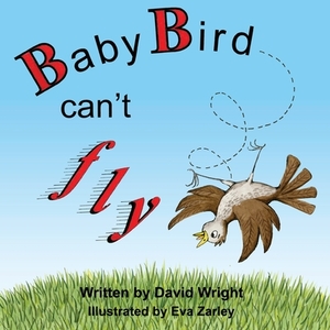 Baby Bird Can't Fly by David Wright