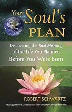 Your Soul's Plan by Robert Schwartz