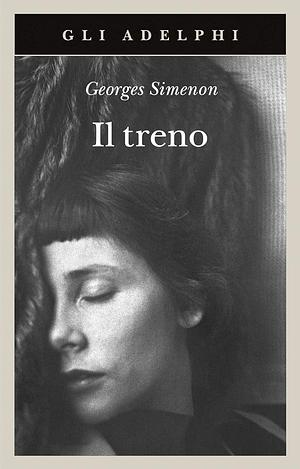 Il treno by Georges Simenon
