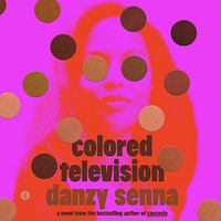 Colored Television by Danzy Senna