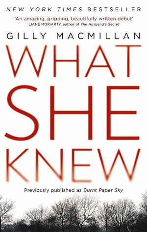 What She Knew by Gilly Macmillan