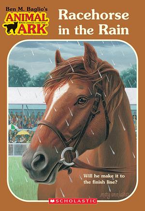 Racehorse in the Rain by Ben M. Baglio