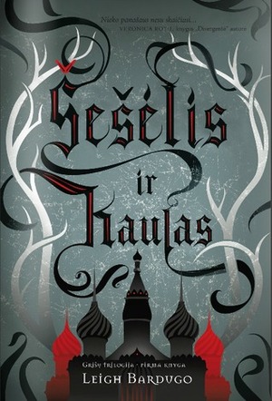 Šešėlis ir kaulas by Leigh Bardugo