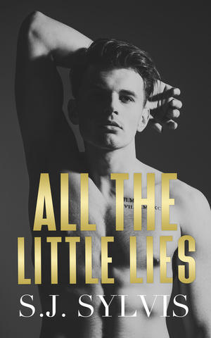 All the Little Lies by S.J. Sylvis