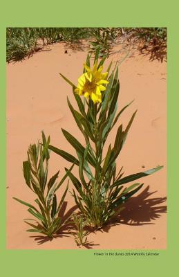 Flower in the dunes 2014 weekly calendar: Week by week calendar with a picture of a flower growing in the dunes on the cover by K. Rose