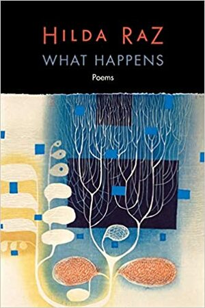 what happens by Hilda Raz