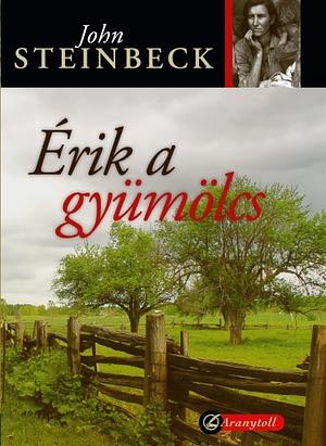 Érik a gyümölcs by John Steinbeck