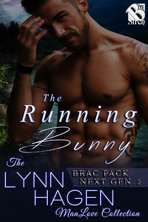 The Running Bunny by Lynn Hagen