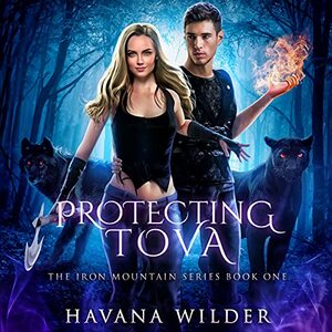 Protecting Tova by Havana Wilder