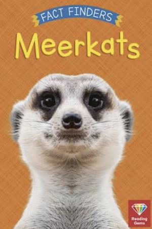 Meerkats by Katie Woolley