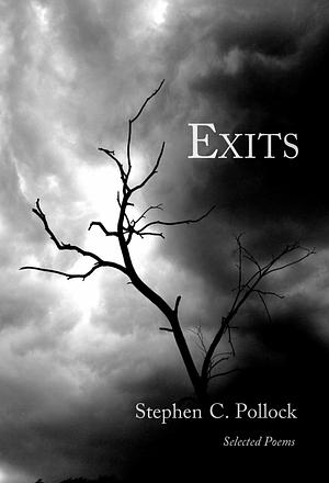 Exits by Stephen C. Pollock