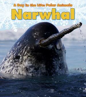 Narwhal by Katie Marsico