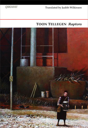 Raptors by Judith Wilkinson, Toon Tellegen