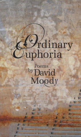 Ordinary Euphoria by David Moody