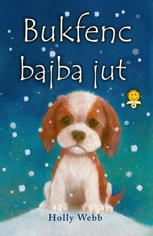 Bukfenc bajba jut by Holly Webb