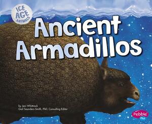 Ancient Armadillos by Jeni Wittrock