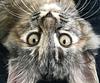 heyt's profile picture