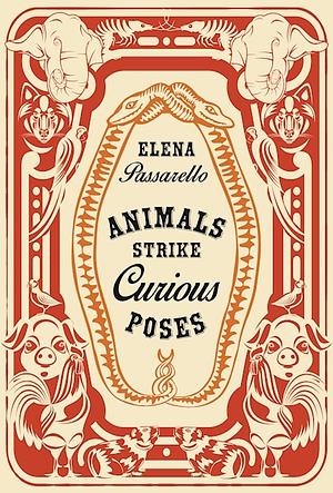 Animals Strike Curious Poses by Elena Passarello