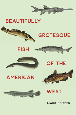 Beautifully Grotesque Fish of the American West by Mark Spitzer