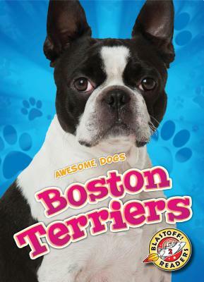 Boston Terriers by Christina Leaf