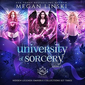 University of Sorcery, Books 1-3 by Megan Linski