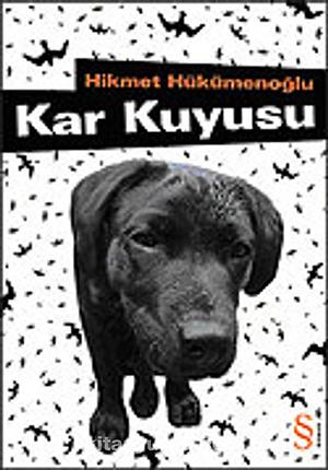 Kar Kuyusu by Hikmet Hükümenoğlu