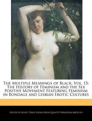 The Multiple Meanings of Black, Vol. 15: The History of Feminism and the Sex Positive Movement Featuring Feminism in Bondage and Lesbian Erotic Cultur by Juliet Davis