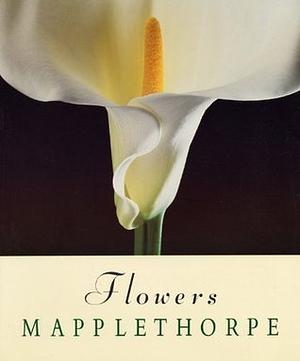 Flowers by Robert Mapplethorpe