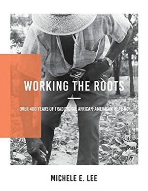 Working the Roots: Over 400 Years of Traditional African American Healing by Michele Elizabeth Lee