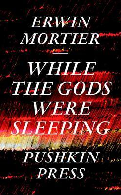 While the Gods Were Sleeping by Paul Vincent, Erwin Mortier