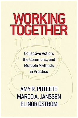 Working Together: Collective Action, the Commons, and Multiple Methods in Practice by Amy R. Poteete, Elinor Ostrom