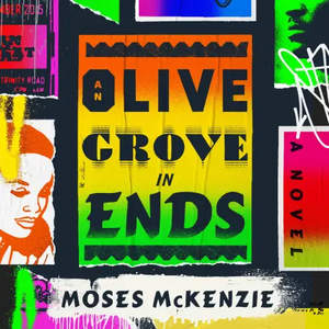 An Olive Grove in Ends by Moses McKenzie