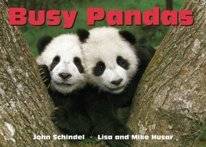 Busy Pandas by Mike Husar, Lisa Husar, John Schindel