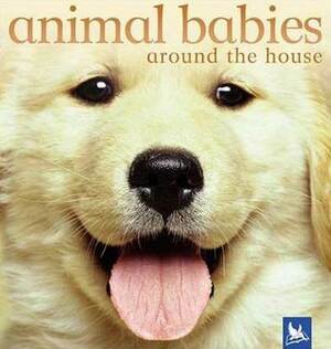 Animal Babies Around the House by Kingfisher Publications