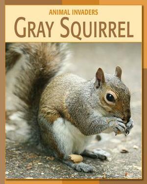 Gray Squirrel by Barbara A. Somervill