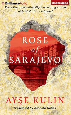Rose of Sarajevo by Ay&#351;e Kulin