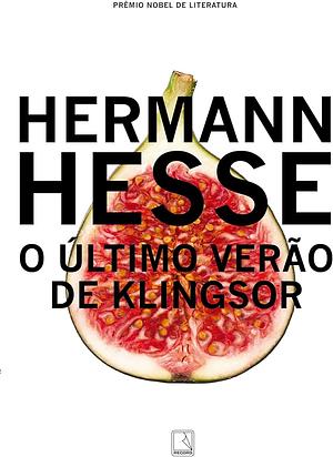 O último verão de Klingsor by Hermann Hesse