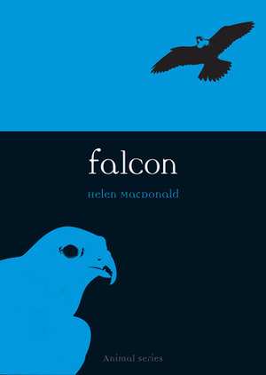 Falcon by Helen Macdonald