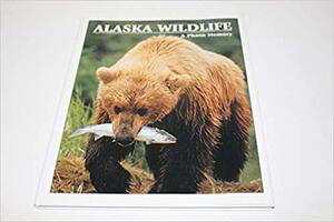 Alaska Wildlife: A Photo Memory by Johnny Johnson
