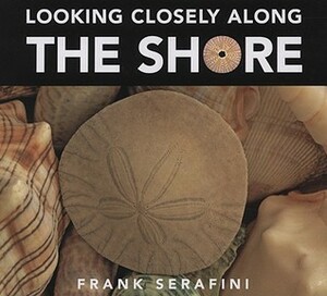 Looking Closely along the Shore by Frank Serafini