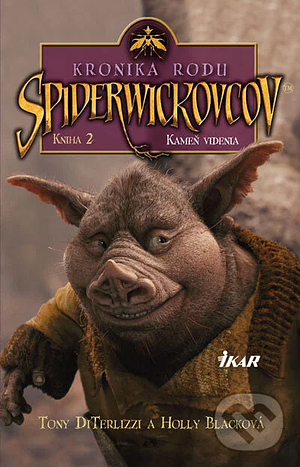 Kameň videnia by Holly Black, Tony DiTerlizzi