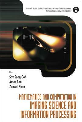 Mathematics and Computation in Imaging Science and Information Processing by Zuowei Shen, Say Song Goh