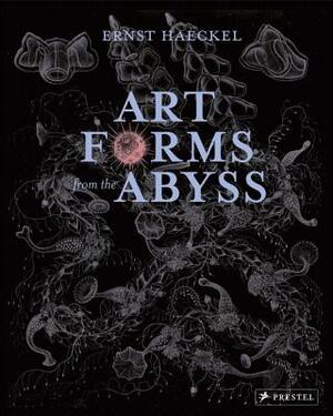 Art Forms from the Abyss: Ernst Haeckel's Images from the HMS Challenger Expedition by Dylan W. Evans, David J. Roberts, Peter J. Le B. Williams