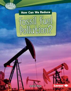 How Can We Reduce Fossil Fuel Pollution? by Andrea Wang