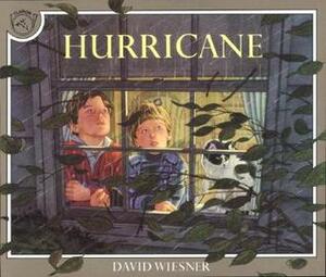 Hurricane by David Wiesner