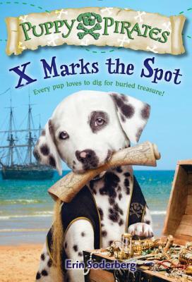 X Marks the Spot by Erin Soderberg Downing